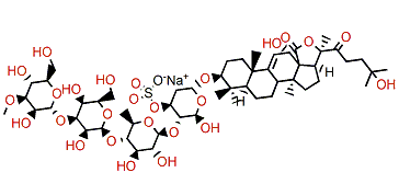 25-Hydroxy fuscocineroside B